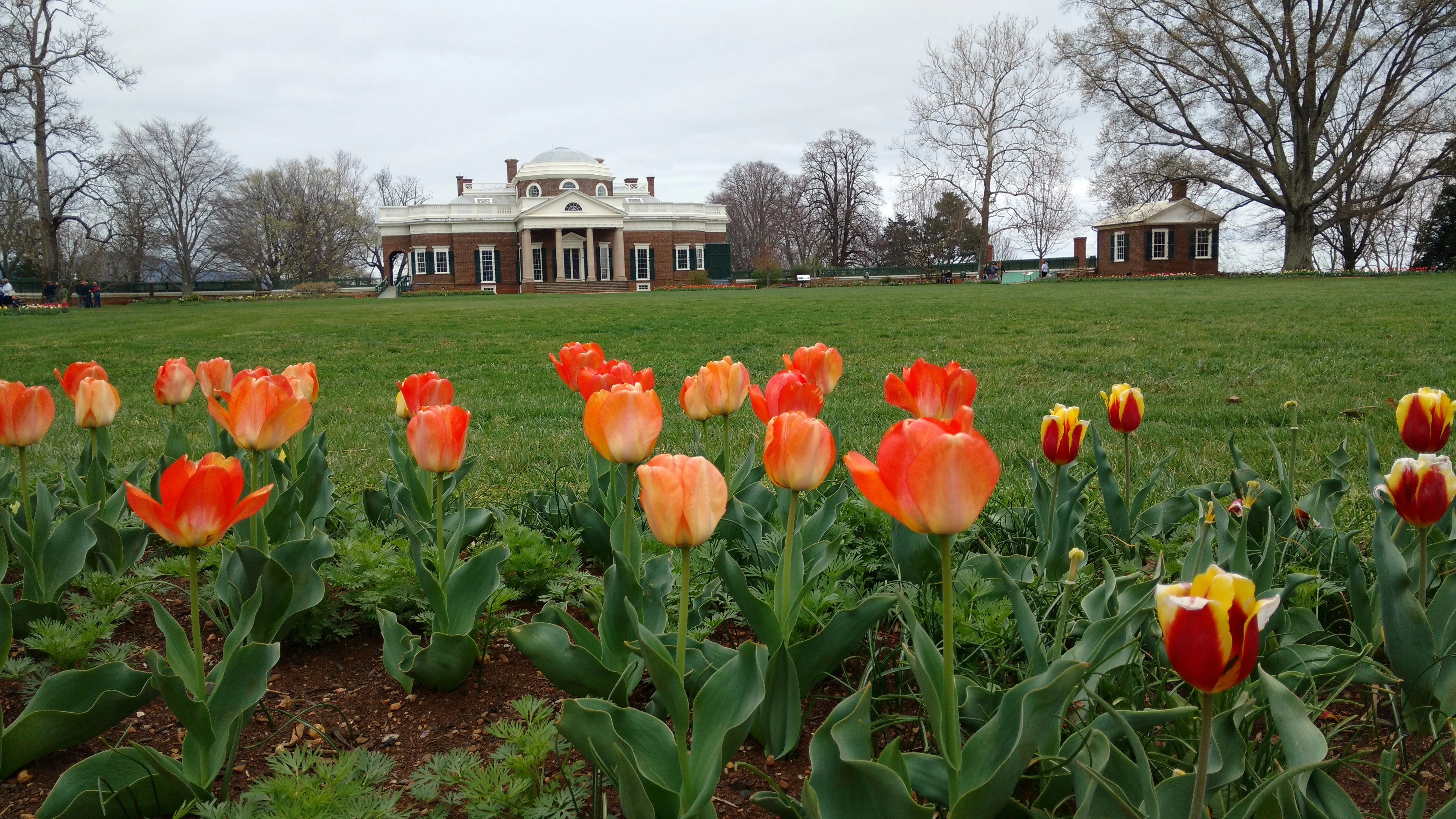 Washington DC & Virginia 2028