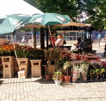 Norway, Part 2: Flowers and Plants are part of Everyday Life