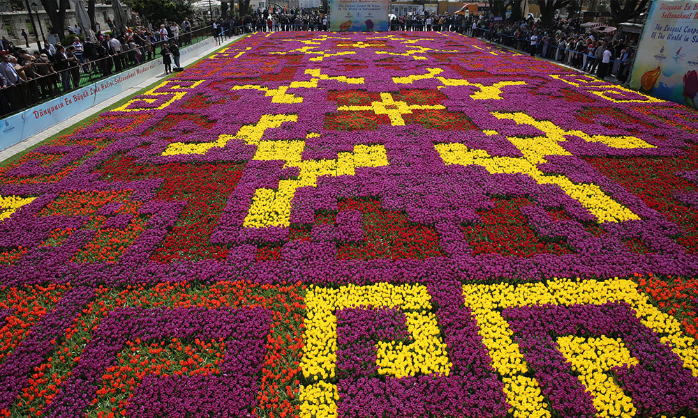 A massive, highly geometric floral carpet made of 500,000 tulip bulbs. Geometric Tulip Carpet
