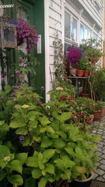 Vertical Urban Garden Path