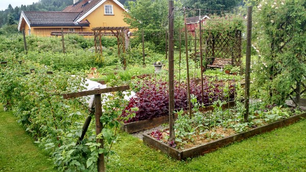 Raised Bed Vegetable Parterre