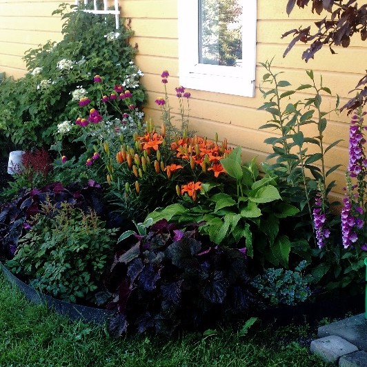 Colorful Perennial Garden Border