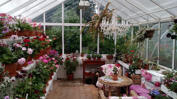 Greenhouse Interior with Chandelier