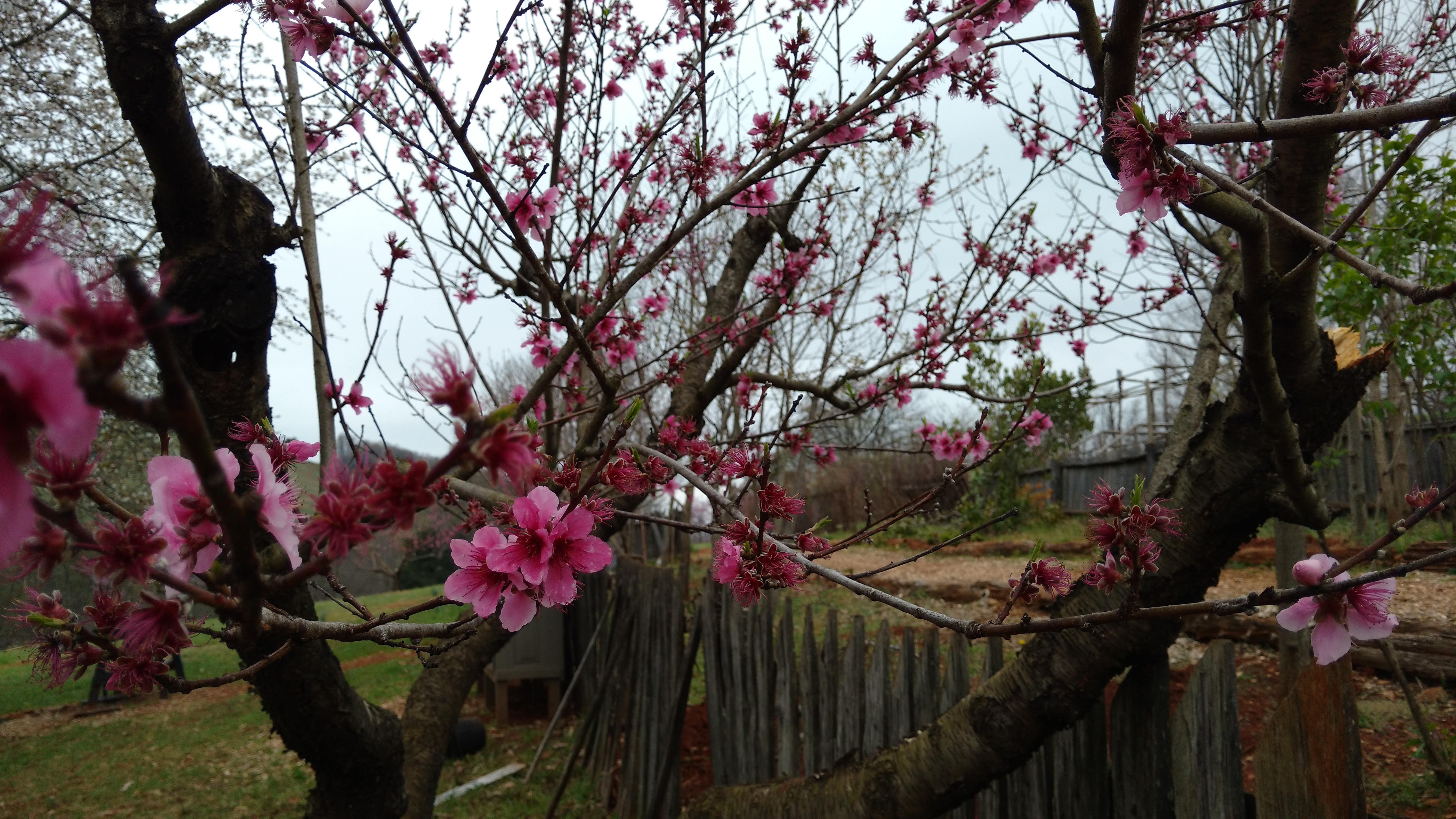 Provence Early Spring 2028