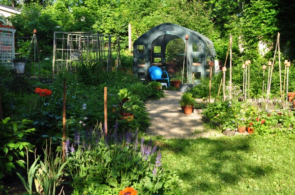 The Joy of Summer Planting A lush summer garden in mid-June, featuring a mix of vibrant perennials and newly planted flowers in a home landscape.