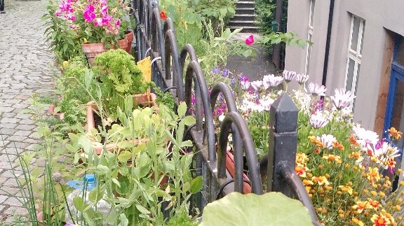 Garden Fence Floral Detail