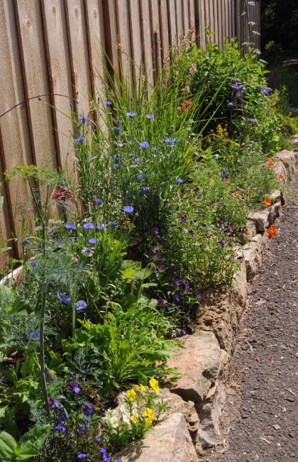 High-Nectar Garden Variety A variety of colorful flowers that provide essential food for local bees and butterflies.