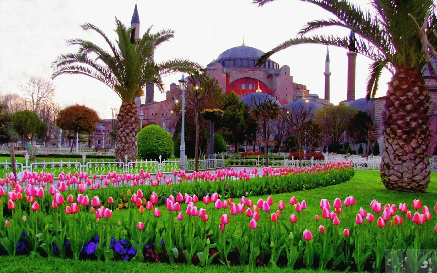 A wide panoramic view of Istanbul's historic architecture framed by vibrant spring tulips. Istanbul Skyline with Tulips